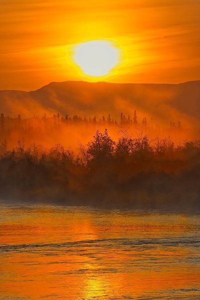Canada-Yukon-Kluane National Park Fog on Dezadeash River at sunrise